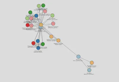 CV network: nodes coloured