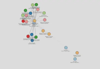 CV network: edges coloured