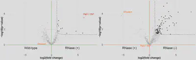 Volcano plots: PPI comparison (left) and RDI comparison (right)