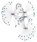 Network-based assignment of RNA-binding protein function